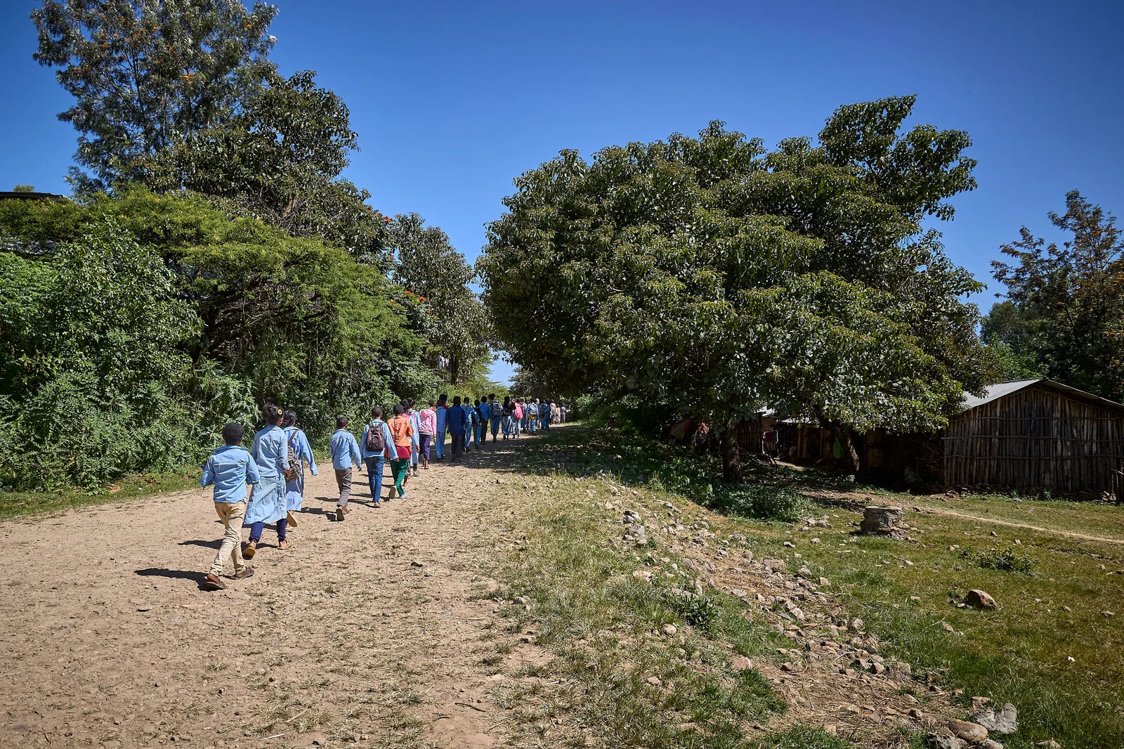Community Development