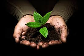 Biodiversity Protection